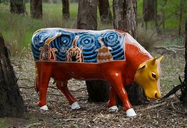 Image result for Indigenous Cow