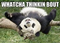 Image result for Whatcha Thinkin Bout