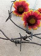 Image result for Barbed Wire Art Projects