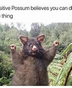 Image result for Believe in You Meme