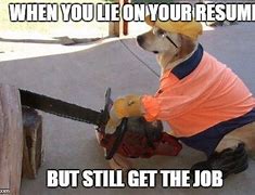 Image result for Lying On Your Resume Meme