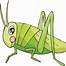 Image result for Cute Female Cartoon Cricket
