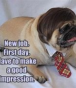 Image result for 1st Day at New Job Meme