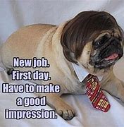 Image result for First Day New Job Meme