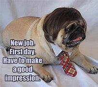 Image result for First Day New Job Meme