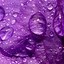 Image result for Lavender Color iPhone Wallpaper