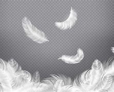 Image result for Falling Angel Feathers