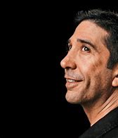 Image result for Schwimmer