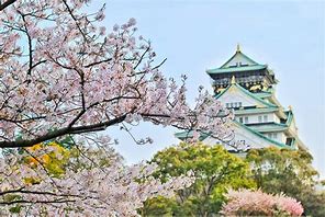Image result for View Osaka Jepun