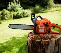 Image result for 10 Best Gas Chainsaws