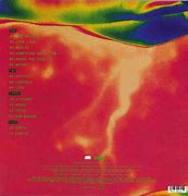 Image result for Iridescence Vinyl Record
