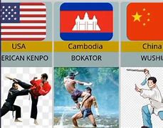 Image result for Martial Arts throughout the World