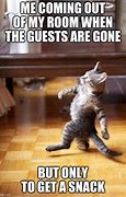 Image result for Annoying Guests Meme