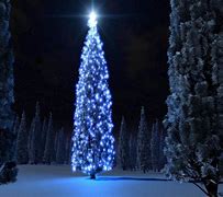 Image result for Blue Christmas Tree Background