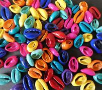 Image result for Exotic Shell Beads