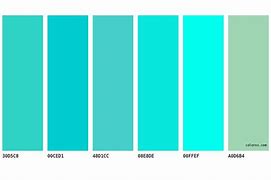 Image result for Turquoise Solid Colour