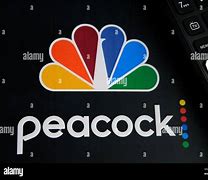 Image result for Comcast Peacock Logo