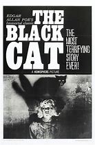 Image result for Black Cat Horror Movie