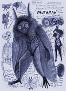 Image result for Mothman Mythical Creature