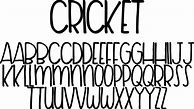 Image result for Cricket Writing
