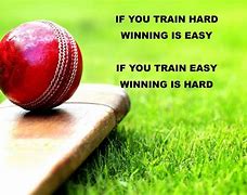 Image result for Slogan for Mini Cricket
