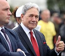 Image result for Winston Peters Meme