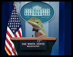 Image result for Lizard Brain Meme