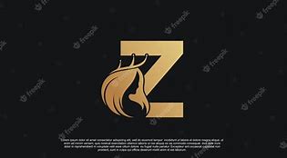 Image result for Z Wings Logo