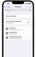 Image result for iPhone 6 Setting Password and Accounts