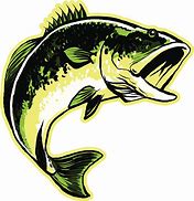 Image result for Largemouth Bass Fish Clip Art