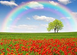 Image result for Rainbow Full HD