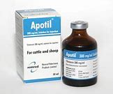 Image result for apodial