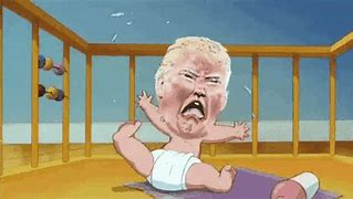 Image result for Trump Memes 2019