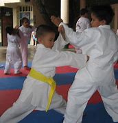 Image result for Karate Gym