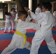 Image result for Types of Karate Punches in Japenees