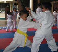 Image result for Karate Kids 10