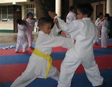 Image result for Best Karate Moves