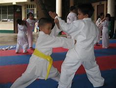 Image result for Cage Fighting Kids