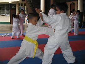 Image result for Karate