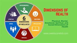 Image result for Health Dimensions