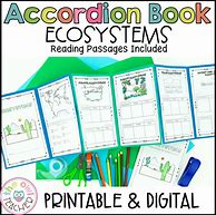 Image result for Ecosystem Lesson Plan