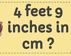 Image result for How Big Is 4 Foot in Cm