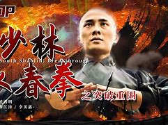 Image result for 南少林 Southern Shaolin