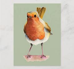Image result for Robin Bird Humorous
