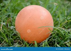 Image result for Orange Cricket Ball