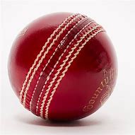 Image result for Cricket Ball Serving Bowls