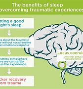 Image result for Physiological Function of Sleep