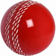 Image result for Cricket ClipArt PNG