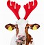 Image result for Christmas Cow
