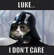 Image result for Star Wars Meme Grumpy Cat